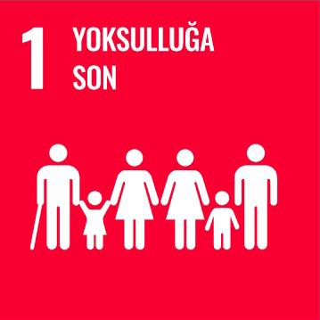 Kalkınma Projesi 2