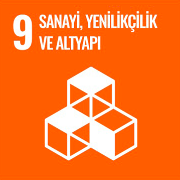 Kalkınma Projesi 10