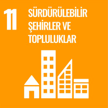 Kalkınma Projesi 12