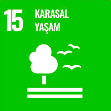 Kalkınma Projesi 16