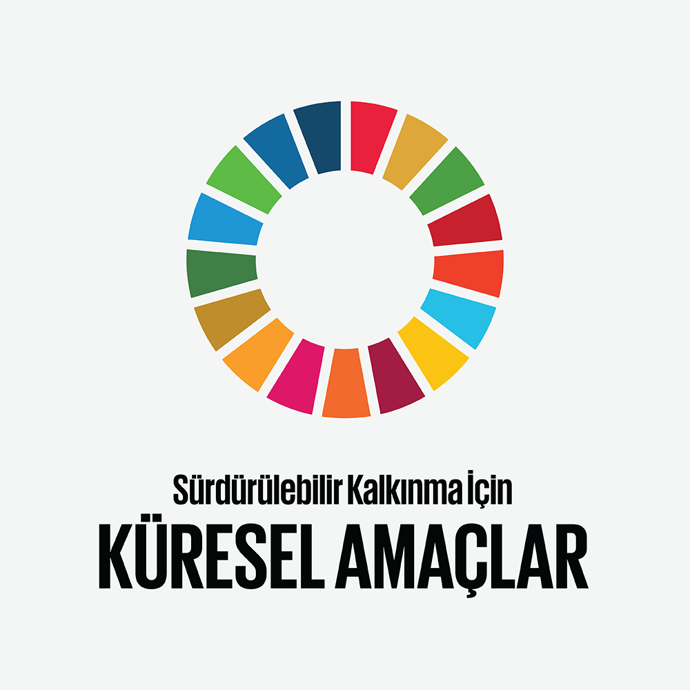 Kalkınma Projesi 1